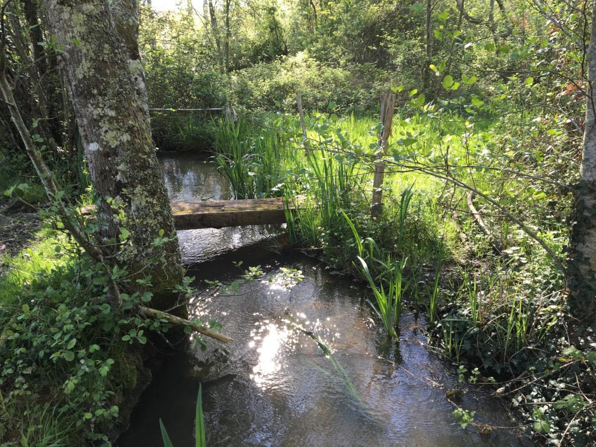 Romantic Mill Cottage 30 Min From Bergerac France Sourzac Экстерьер фото